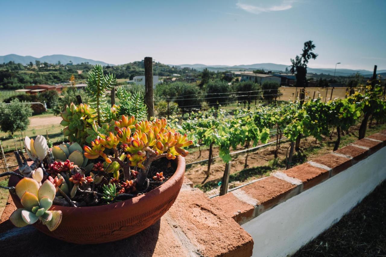 Quinta Sofia Valle De Guadalupe (Adults Only) Εξωτερικό φωτογραφία