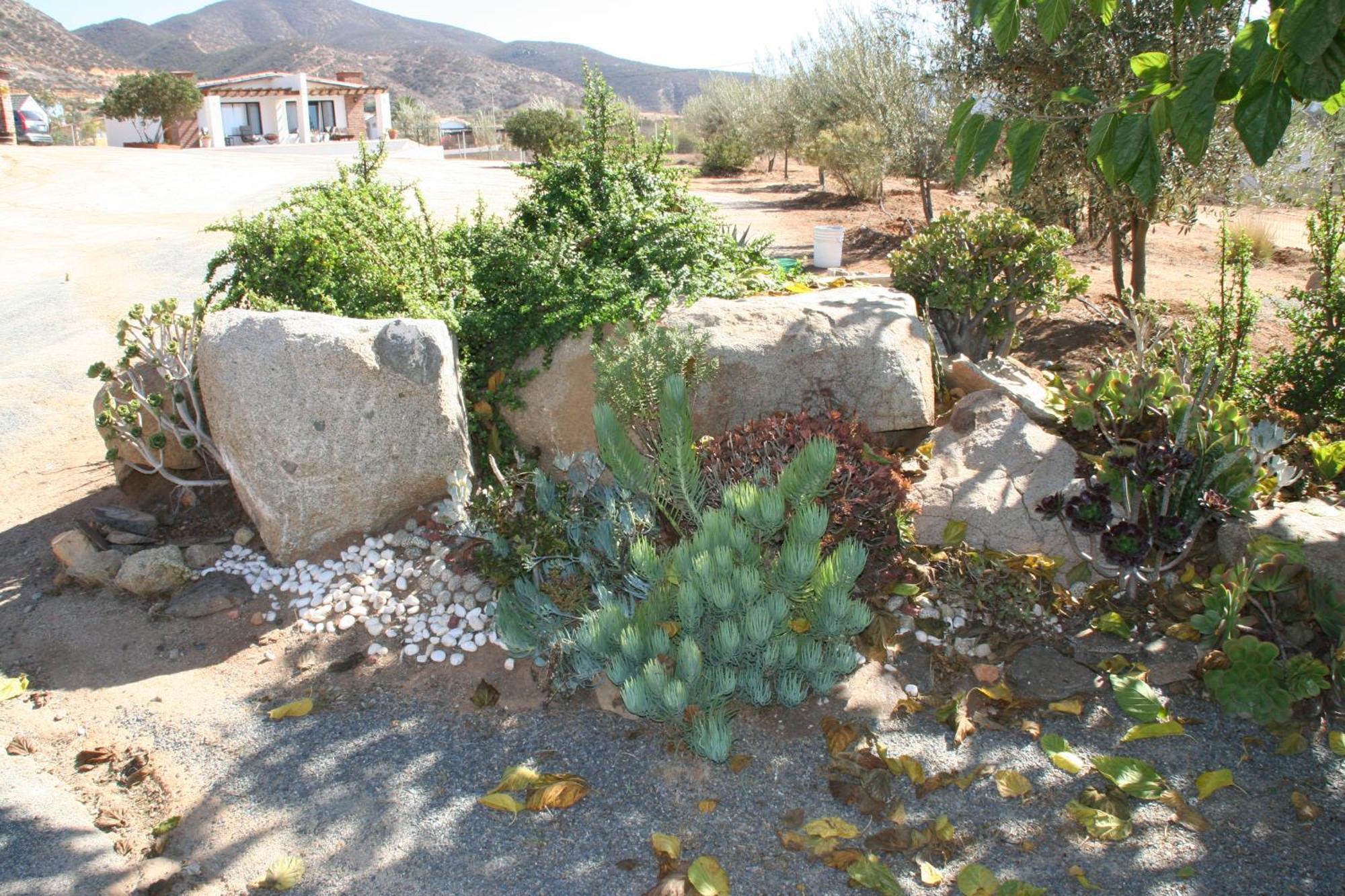 Quinta Sofia Valle De Guadalupe (Adults Only) Εξωτερικό φωτογραφία