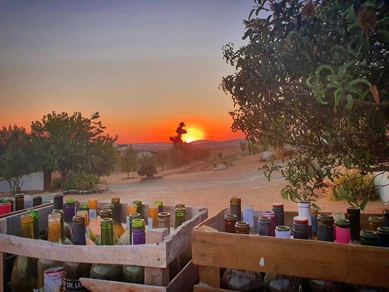 Quinta Sofia Valle De Guadalupe (Adults Only) Εξωτερικό φωτογραφία