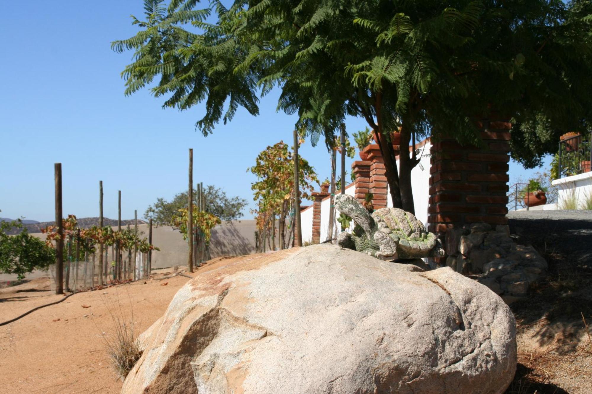 Quinta Sofia Valle De Guadalupe (Adults Only) Εξωτερικό φωτογραφία