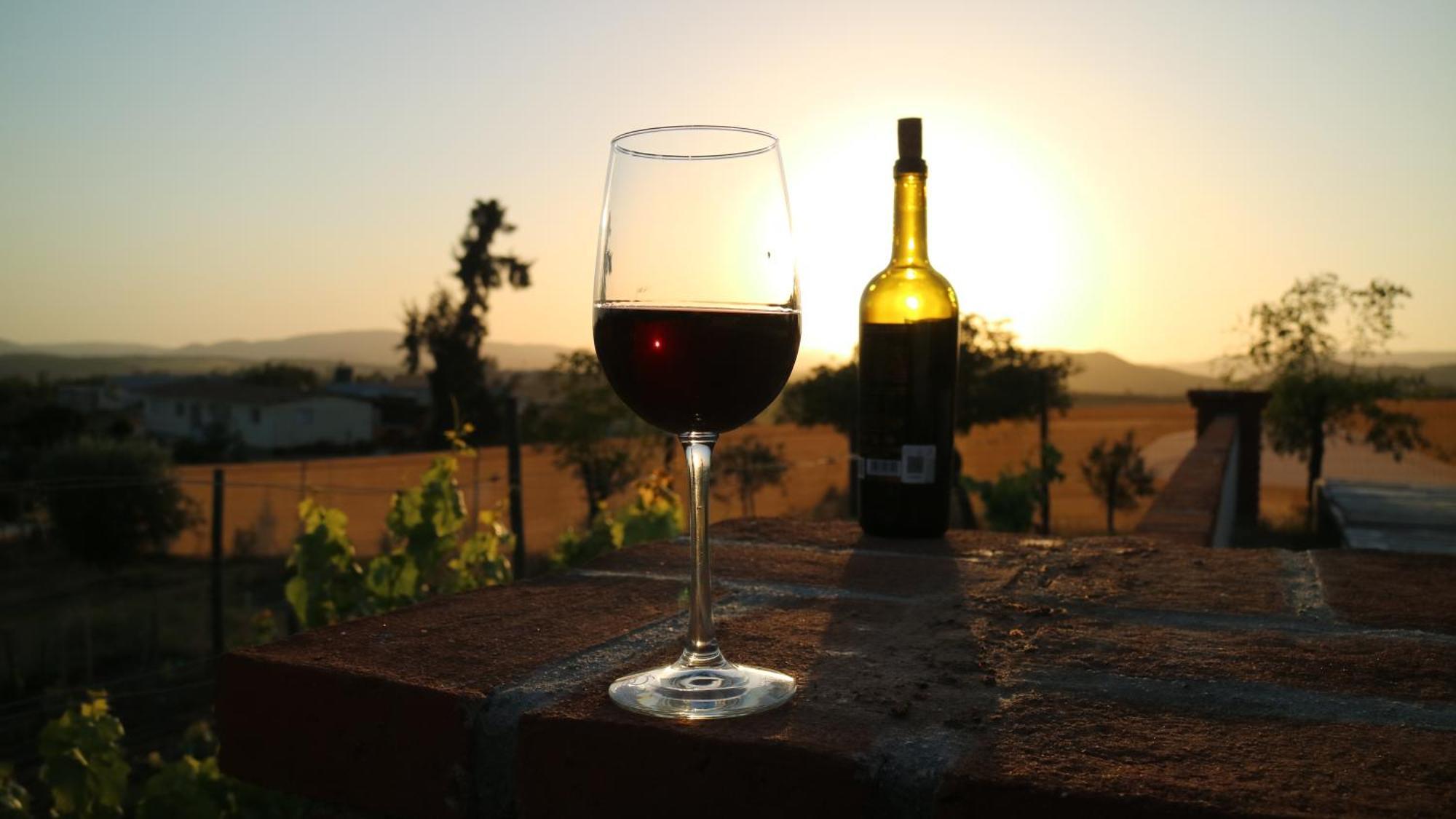 Quinta Sofia Valle De Guadalupe (Adults Only) Εξωτερικό φωτογραφία
