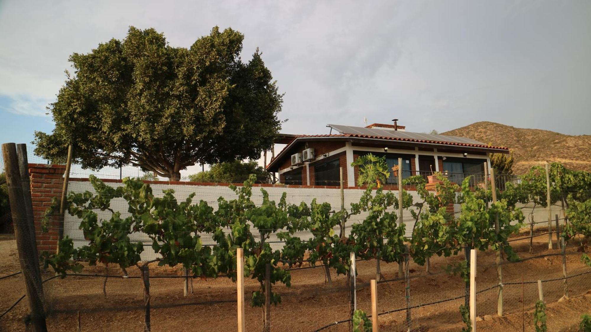 Quinta Sofia Valle De Guadalupe (Adults Only) Εξωτερικό φωτογραφία