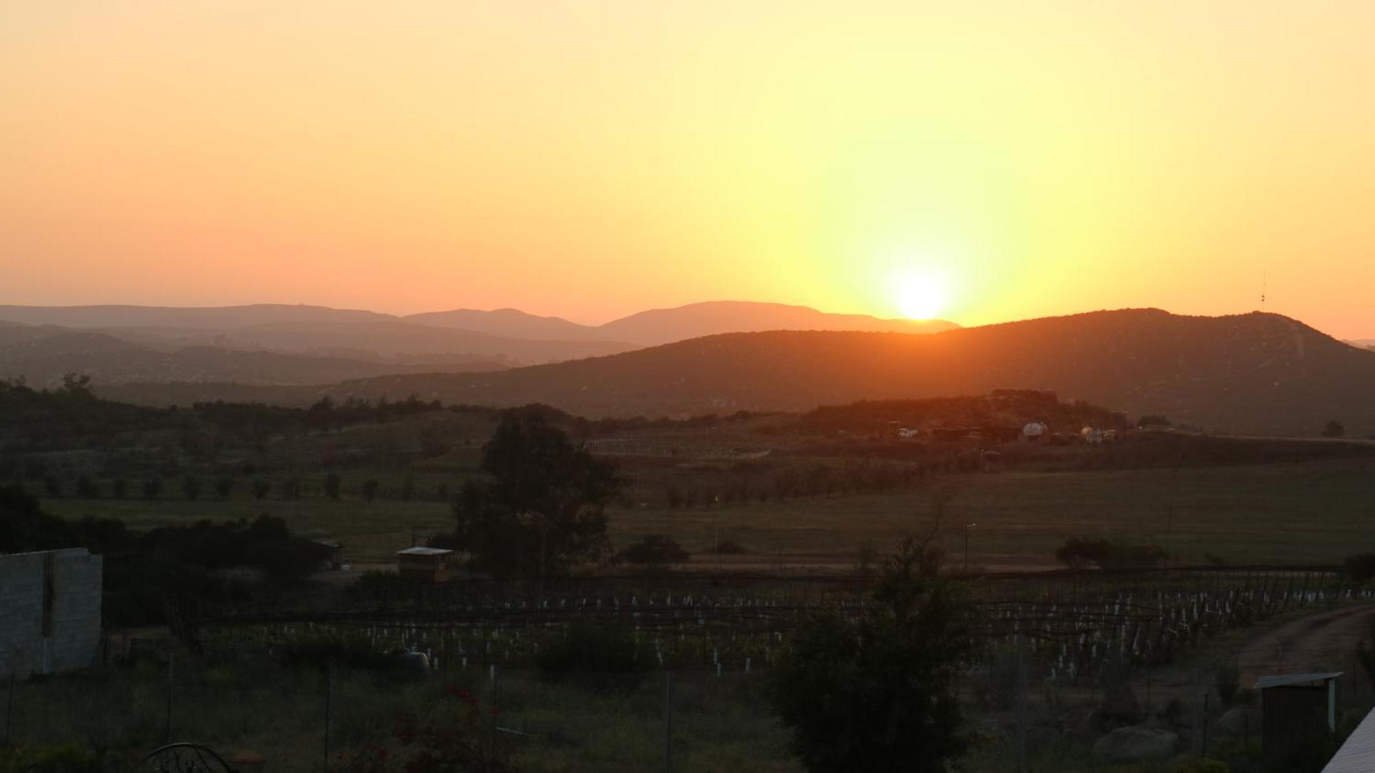 Quinta Sofia Valle De Guadalupe (Adults Only) Εξωτερικό φωτογραφία