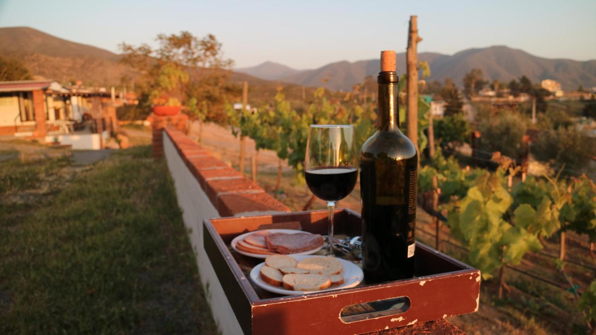 Quinta Sofia Valle De Guadalupe (Adults Only) Εξωτερικό φωτογραφία